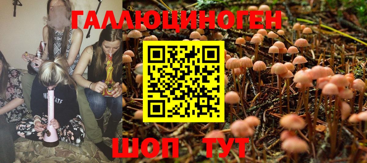 Псилоцибиновые грибы Psilocybe Юрга