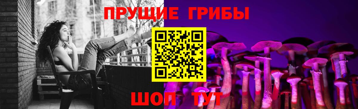Псилоцибиновые грибы Psilocybe  Вход с VPN  Юрга 
